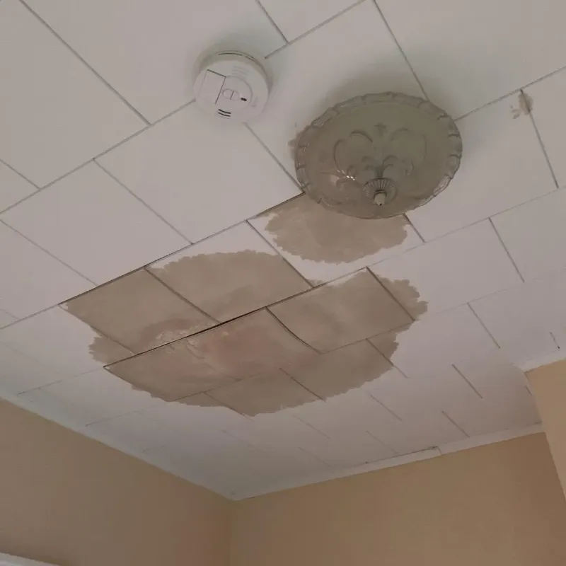 Ceiling Water Damage Repair in La Luz, NM